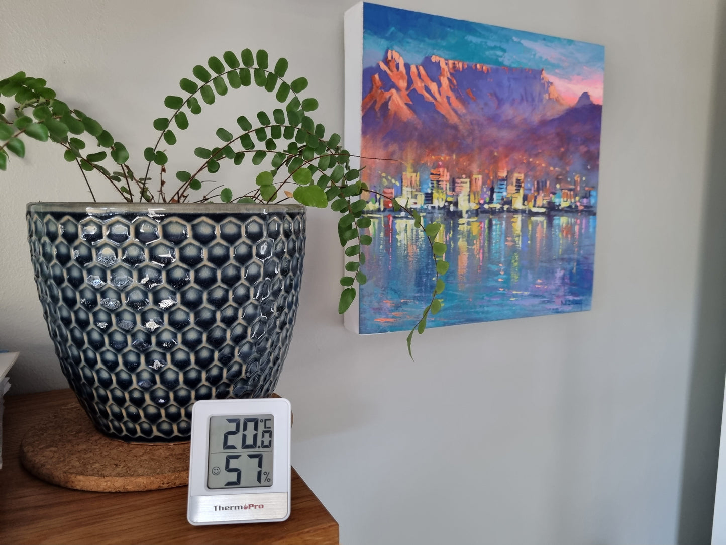 ThermoPro Indoor Hygrometer Wall Mount