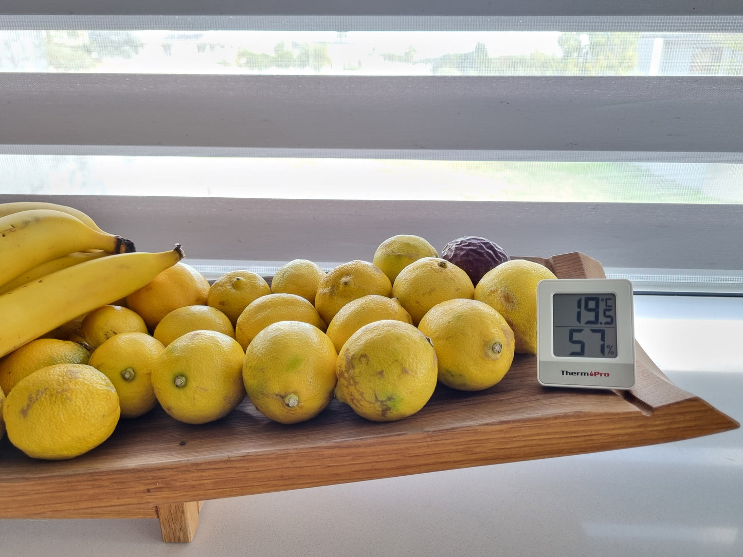 ThermoPro Indoor Hygrometer Wall Mount